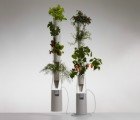 Window Farms Lets Green Thumbs Grow Fresh Veggies Indoors