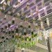 algae greenhouse, algae, greenhouse, urban greenhouse, greenhouse architecture, algae art exhibit, algae art, green art, sustainable art, algae fuel, fuel source, urban design, architectural design, london, architectural association, architectural association school of architecture, eco logic studio, hortus