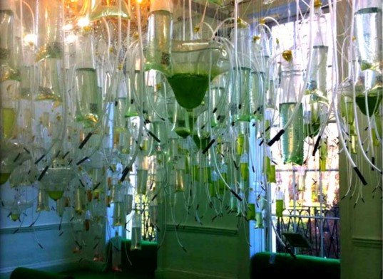 algae greenhouse, algae, greenhouse, urban greenhouse, greenhouse architecture, algae art exhibit, algae art, green art, sustainable art, algae fuel, fuel source, urban design, architectural design, london, architectural association, architectural association school of architecture, eco logic studio, hortus