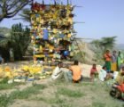 SurVivArt Offers a Creative Look at Global Issues and Happiness