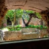Amazing Forestiere Underground Gardens Were Hand Carved With Only a Pick and Shovel