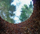 Inner Forest Pavilion Made From Thousands of Pine Cones Springs Up in Norway