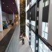 green design, eco design, sustainable design, Center for Sustainable Development, Montreal Maison Du Developpment Durable, living wall, Marie-Claire Blais, glass powder concrete, salvaged wood, green roof, Equiterre