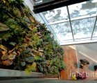 PICS: The Montreal Center for Sustainable Development Boasts a Lush Vertical Garden and Green Roof