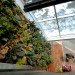 green design, eco design, sustainable design, Center for Sustainable Development, Montreal Maison Du Developpment Durable, living wall, Marie-Claire Blais, glass powder concrete, salvaged wood, green roof, Equiterre