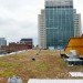 green design, eco design, sustainable design, Center for Sustainable Development, Montreal Maison Du Developpment Durable, living wall, Marie-Claire Blais, glass powder concrete, salvaged wood, green roof, Equiterre
