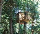 Oregon’s Out’n'About Treehouse ‘Treesort’ has the World’s Highest Concentration of Treehouses
