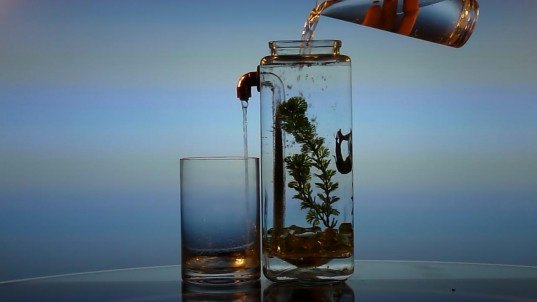 NoClean Aquariums, green aquarium, eco aquarium, green design, eco design, sustainable design, eco aquarium