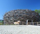Amazing Stork Nest Farm Features a Gigantic Woven Bird Nest Riding Arena