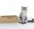 Ecolite is a Compostable Cat Litter Box Made from Recycled Paper Pulp