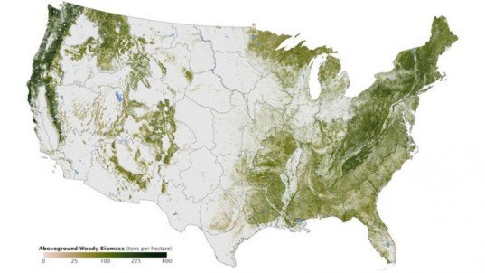 USA Tree population every tree in the united states, us tree population, united states tree population, map of the united states' trees, tree population, global tree population, trees in the US, tree population, tree density, tree density in the US