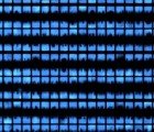 Researchers Create a “Living Display” from E. Coli Biopixels