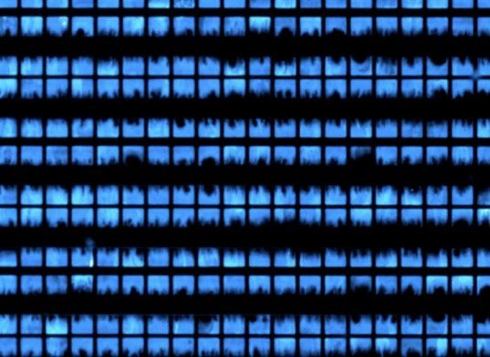 biopixel, biopixel display, living display, living fluorescent light, e. coli bacteria, e. coli display, living light, bacterial light, bacteria display, bacteria sensor, toxic detection, toxin detector, toxin sensor, arsenic detector