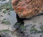 Cadmium Spill in China’s Liu River Threatens to Contaminate Water Supply for 3 Million People