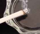 Cornell Researchers Find That Lycopene and Grape Seed Extract Could Make Smoking Less Harmful