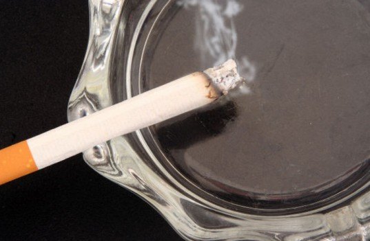 Cigarette Filter Cornell University, lycopene, grape seed, grapeseed extract, Inhabitat, cigarette smoke, cancer reducing, scientific finding, scientific research, carcinogens, free radicals, natural byproduct, smoking