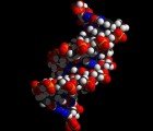 The World’s Smallest Train is Made from DNA