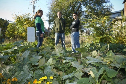 greening of detroit, urban decay, urban farming, agricultural projects, reclaimed land, planting trees, city regeneration, environmental intiatives