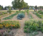 Detroit’s Urban Agriculture Movement Could Help ‘Green’ the City