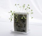 Sprout Seeds in an Old Comic With Manga Farming’s Miniature Gardens