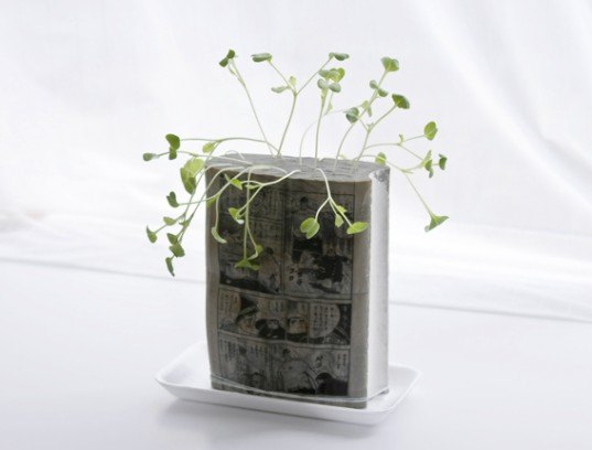 koshika wachi, indoor gardening, comic book farming, manga farming, inventive interior gardens, miniature garden design, cool gardening ideas