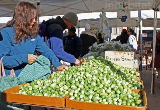 7 Green Ways to Help You Keep Your New Year's Resolutions, new year's resolutions, resolutions for 2012, 2012, new year's, better 2012, resolutions, green resolutions, green new year's resolutions, green lifestyle