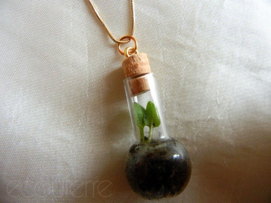 green design, eco design, sustainable design, terrariums, indoor garden, Paula Hayes, MoMA, Marianne Boesky, Jose Agatep, Slug and Squirrel, DIY terrarium, Biome terrarium, Sam Wilkinson, TERRA terrarium, Fort Standard, Kristyna Pojerova, Glasshouse terrarium, DIY Terrarium necklace