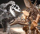 Scientists to Create 3D Printed Dinosaur Robots