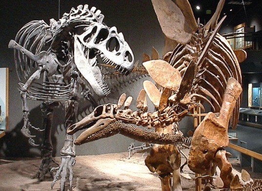 3d printed robots, 3d printed dinosaur robots, dinosaur robots, dinosaur movement, dinosaur replicas, paleontologists, paleontology, innovation in paleontology, drexel university, 3d printing, 3d printer, 3d printing technology