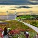 AECOM, BIG, Navy Pier, Bjarke Ingels, Chicago, parks, design competitions, green design, landscape design, green roofs, vertical farm, roof garden, green architecture, green design