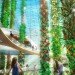 AECOM, BIG, Navy Pier, Bjarke Ingels, Chicago, parks, design competitions, green design, landscape design, green roofs, vertical farm, roof garden, green architecture, green design