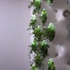 CASE and SOM’s AMPS Living Green Wall Promises to Reduce Air Pollution and Energy Costs