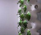 CASE and SOM’s AMPS Living Green Wall Promises to Reduce Air Pollution and Energy Costs