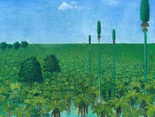 Pangea, ancient forest, Wuda China, preserved forest, ancient forest, 298 million year old forest, Herman Pfefferkorn, University of Pennsylvania, Proceedings of the National Academy of Scientists, Sigillaria, Cordaites, Noeggerthiales, Permian Era