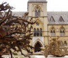 Ghost Forest Repurposes Fallen Rainforest Trees Into a Striking Public Art Installation