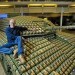 stuart murdoch challenger II tank, stuart murdoch challenger 2 tank, challenger 2 tank egg boxes, challenger 2 tank egg cartons, challenger 2 tank help for heroes, help for heroes egg tank, egg tank, challenger II tank egg box, eggs for soldiers, eggs for heroes, help for heroes charity, egg tank carton