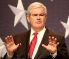 Newt Gingrich Says You Can’t Put A Gun Rack on a Chevy Volt