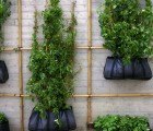 Climbing Green Wall Crafted From Bamboo Scaffolding & Hanging Bags in Norway