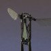 robotic bee, mobee, Monolithic Bee, Harvard Bee Robot, oragami robot, printed robot,