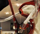 Disturbing Headless Chicken Solution Aims to Raise Poultry Birds Without Suffering