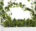OFFECCT’s Adaptable Green Divider Will Infuse Life Into Any Office Space