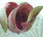 Peter Gentenaar’s Ethereal Paper Sculptures Float in the Air Like Jellyfish