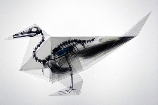 Art, Green Materials, Recycling / Compost, Takayuki Hori, X-ray Origami, trasluscent Origami, Endangered Species, ephemeral art, recyclable paper, biodegradable paper, paper art, paper sculpture, Japanese art, japanese design, origami, origami animals, Oritsunagumono, Mitsubishi Chemical Junior Designer Award