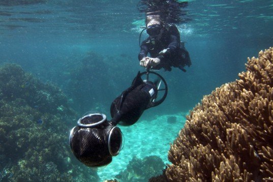 Animals, Botanical, Eco Travel, Faux Nature, global warming, Robotics, Google Street View, Google, University of Queensland, the Caitlin Group, Gizmodo, The Catlin Seaview Survey, Great Barrier Reef, Australia, Diver Propulsion Vehicles, underwater film, underwater photograph