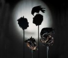 British Artists Tim Noble & Sue Webster Create Jaw-Dropping Art With Shadows and Found Objects