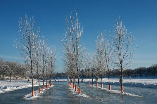 WINTER GARDEN by Talmon Biran green design, eco design, sustainable design, Winter Garden, Assiniboine Credit Union River, WInnipeg, Talmon Biran, ice skating, upcycled trees, recycled trees, Canada, Winnipeg art installation