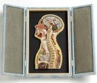 Lisa Nilsson Constructs Intricate Anatomical Studies From Rolled Japanese Paper