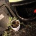 naturemill, metro, indoor composter, kitchen, gardening, composting, waste, how to, sustainable, green, eco