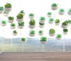 Turn Your Balcony into an Urban Farm with Skypots
