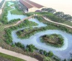Nine Acre L.A. Parking Lot Transformed into Pollution-Reducing Wetlands